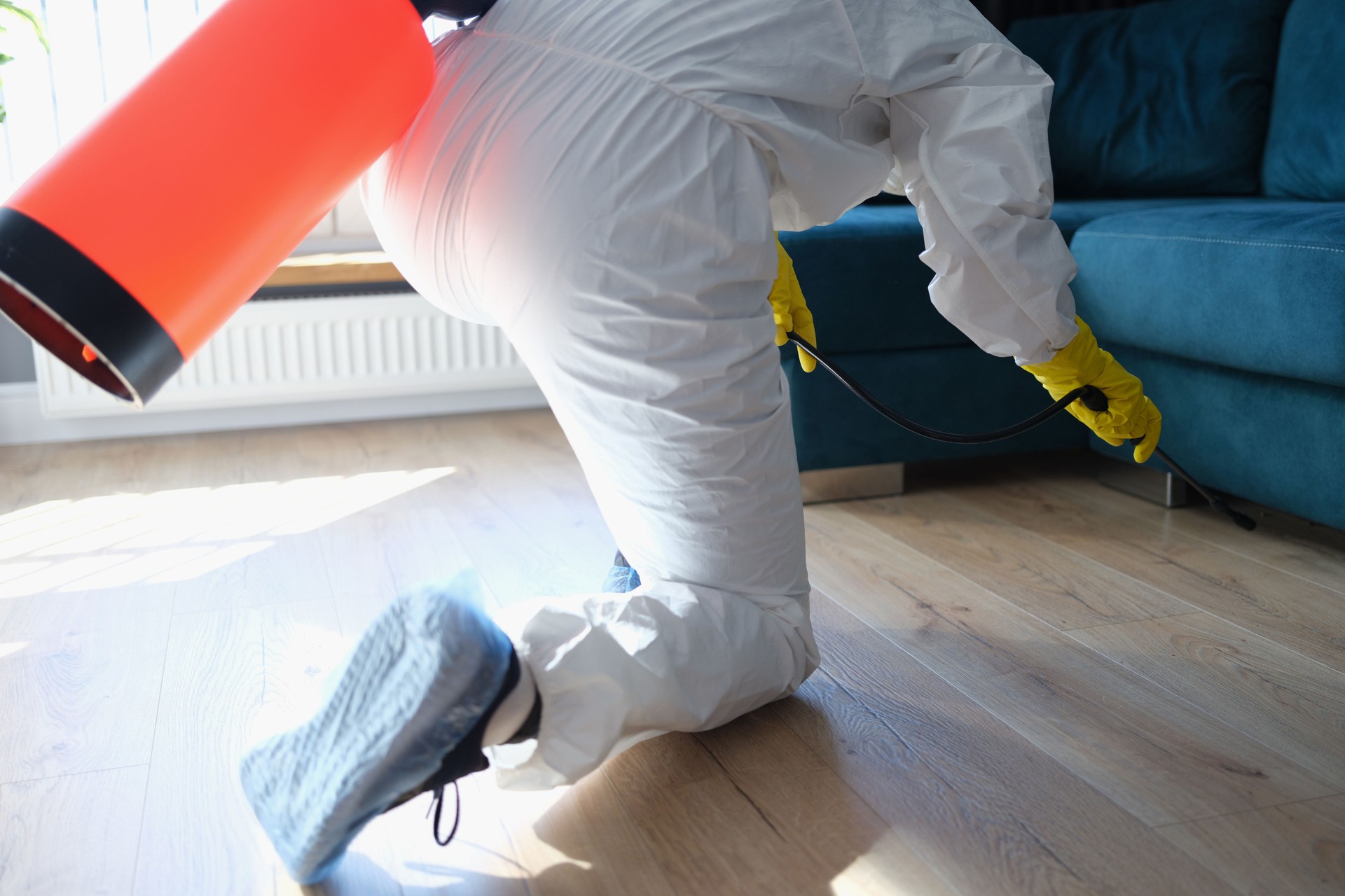 Person in hazmat suit disinfects living room with spray gun